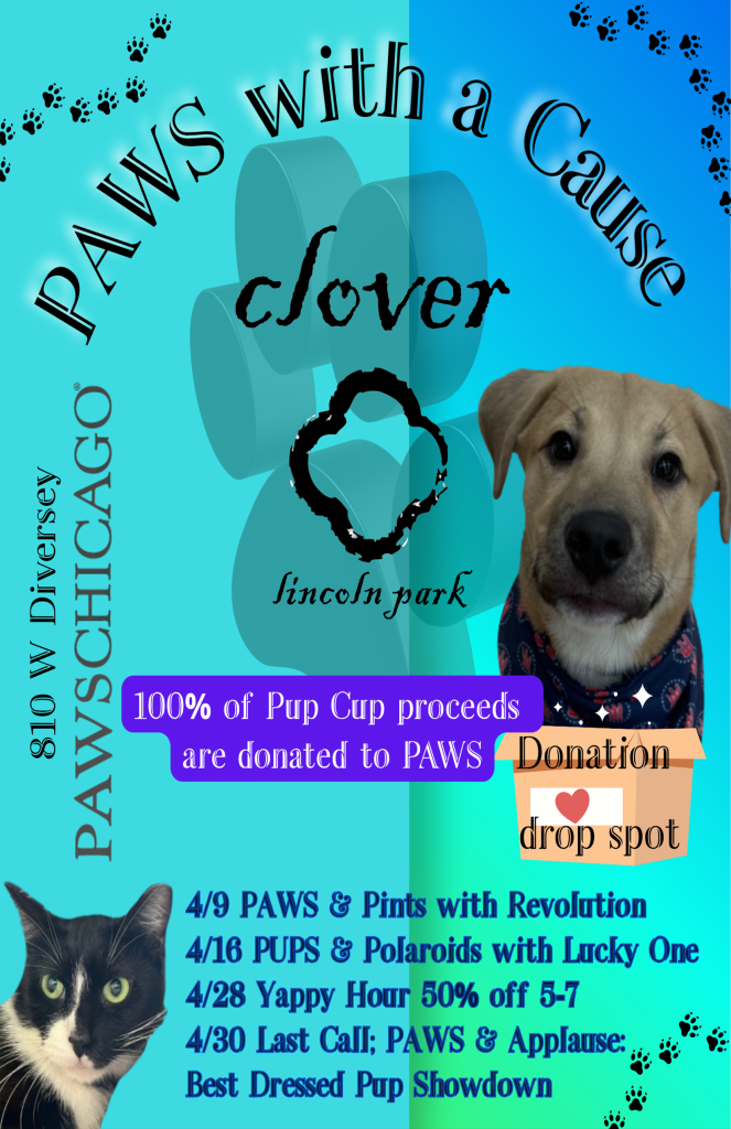Paws with a Cause – April Series | Clover Lincoln Park